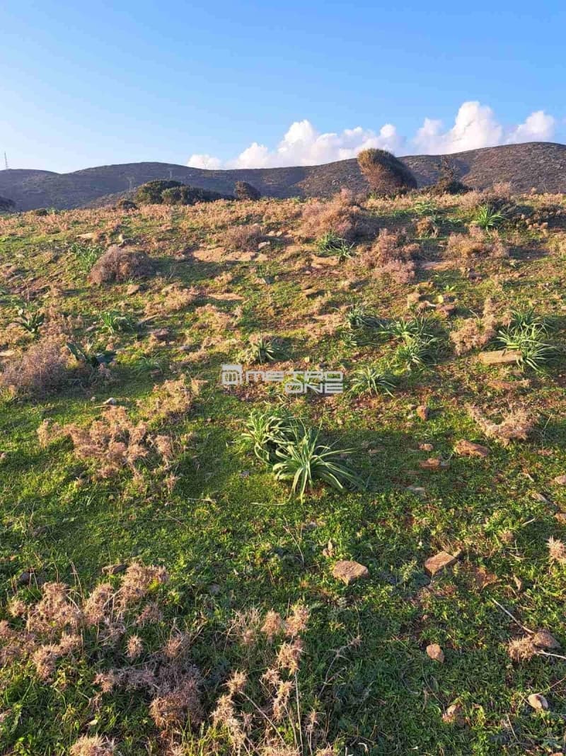 Parcel in Mpatsi, Andros — Photo 5 of 26