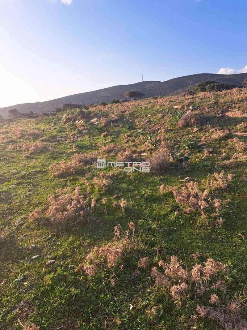 Parcel in Mpatsi, Andros — Photo 6 of 26