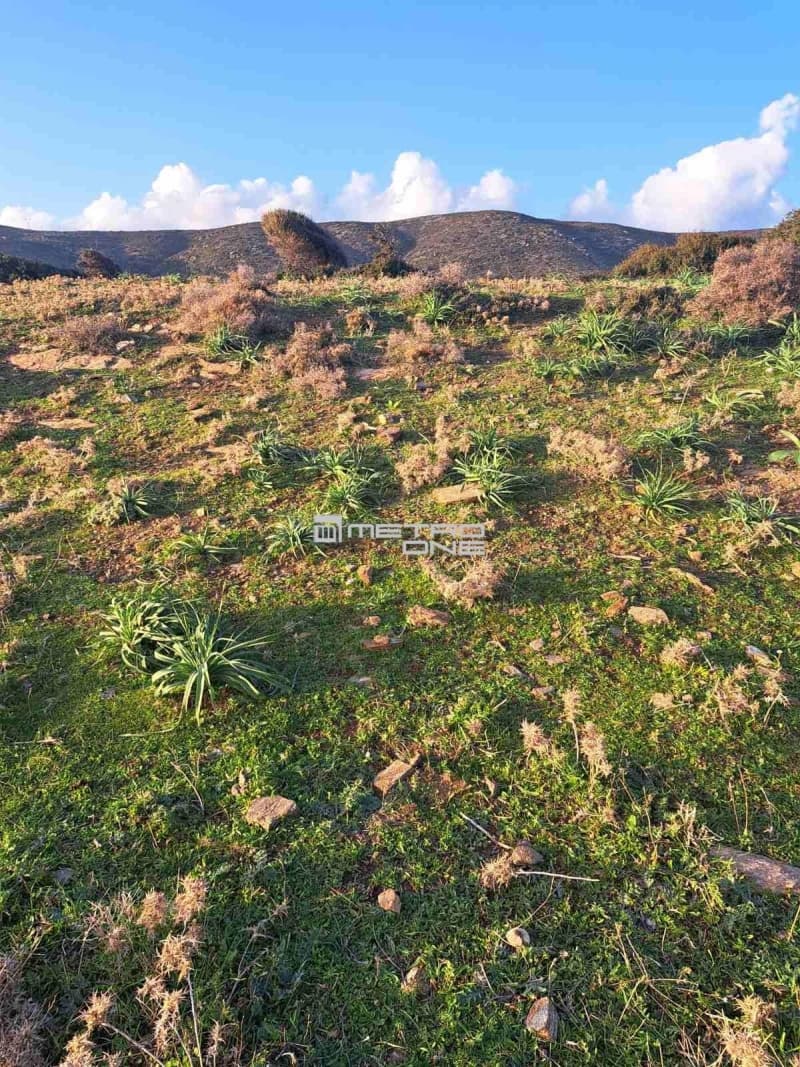 Parcel in Mpatsi, Andros — Photo 7 of 26