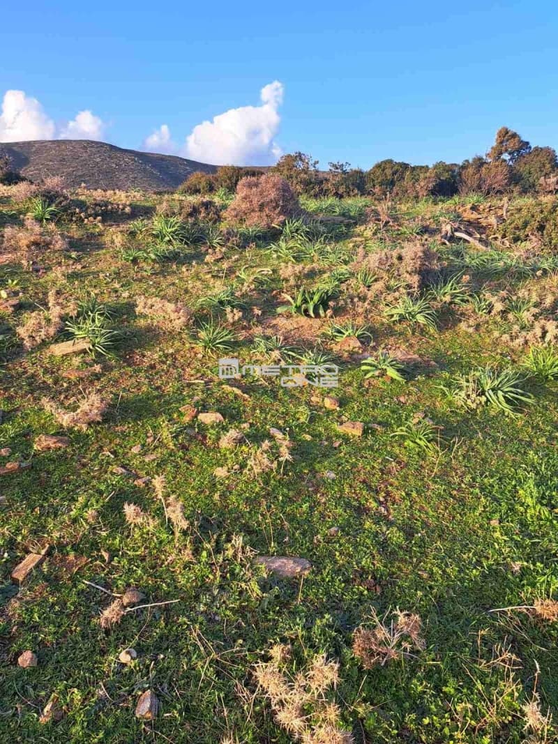 Parcel in Mpatsi, Andros — Photo 8 of 26