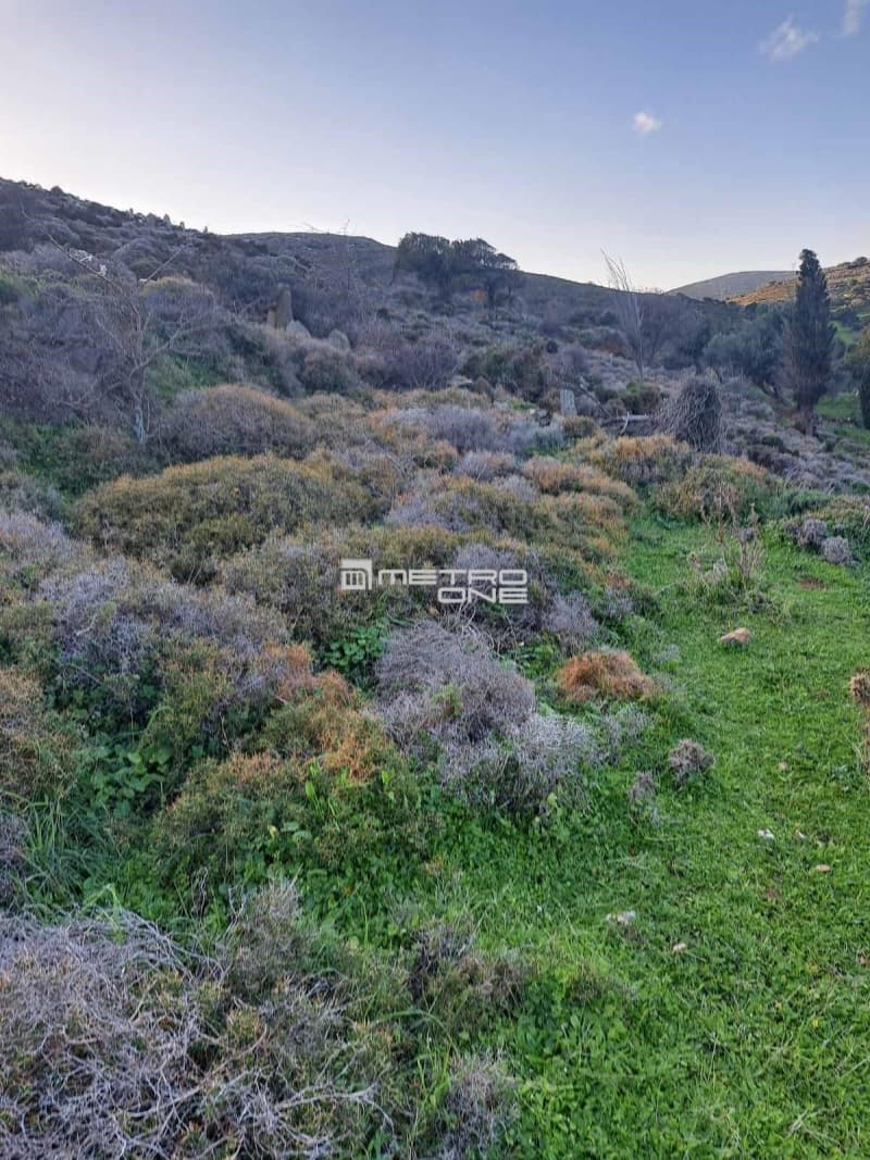 Parcel in Ano Aprovato, Andros — Photo 9 of 20