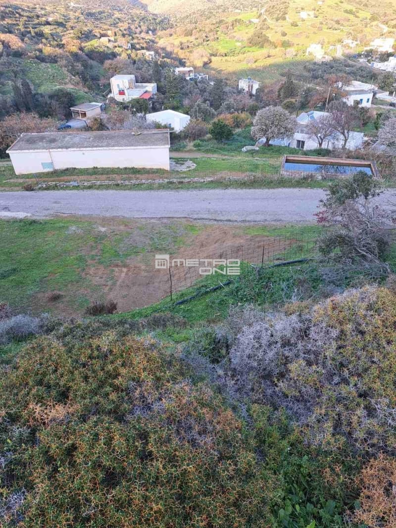 Parcel in Ano Aprovato, Andros — Photo 11 of 20