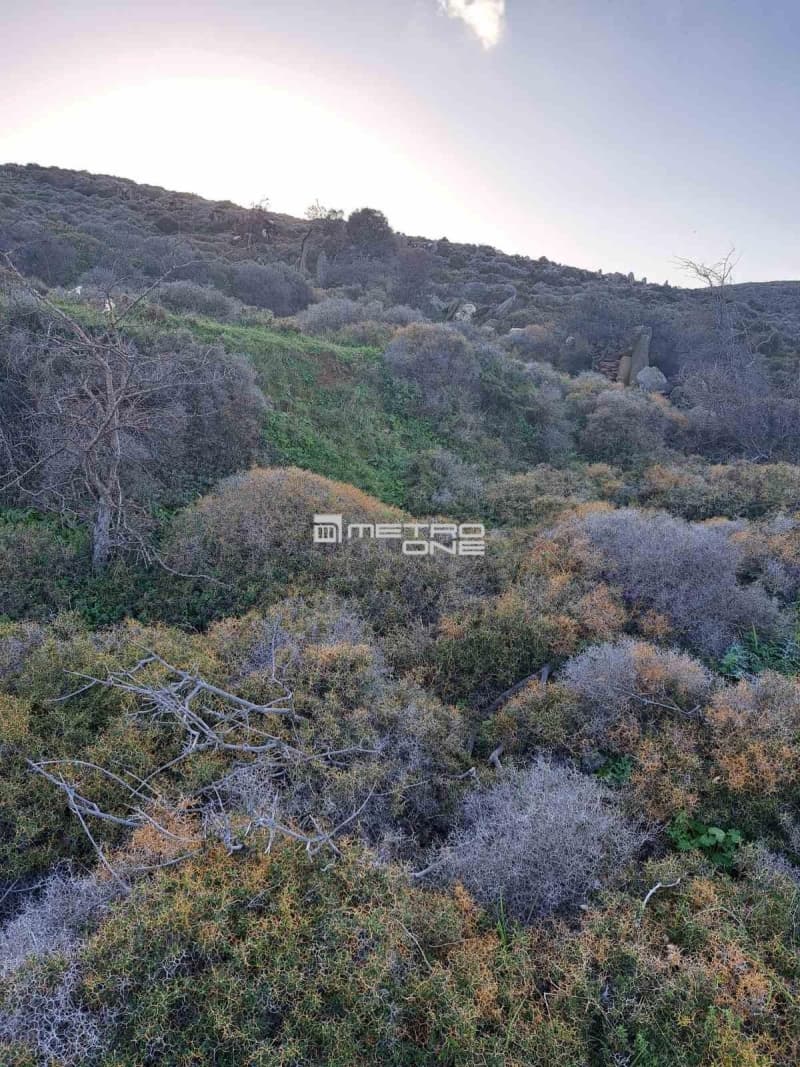 Parcel in Ano Aprovato, Andros — Photo 18 of 20