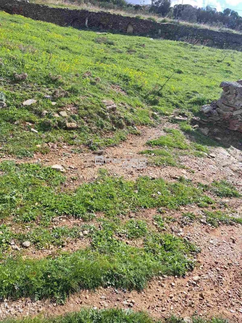 Parcel in Ano Gavrio, Andros — Photo 21 of 25