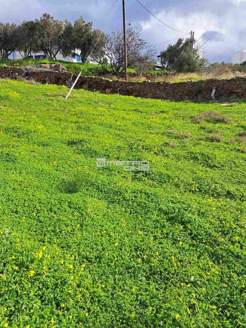Parcel in Ano Gavrio, Andros — Photo 23 of 25