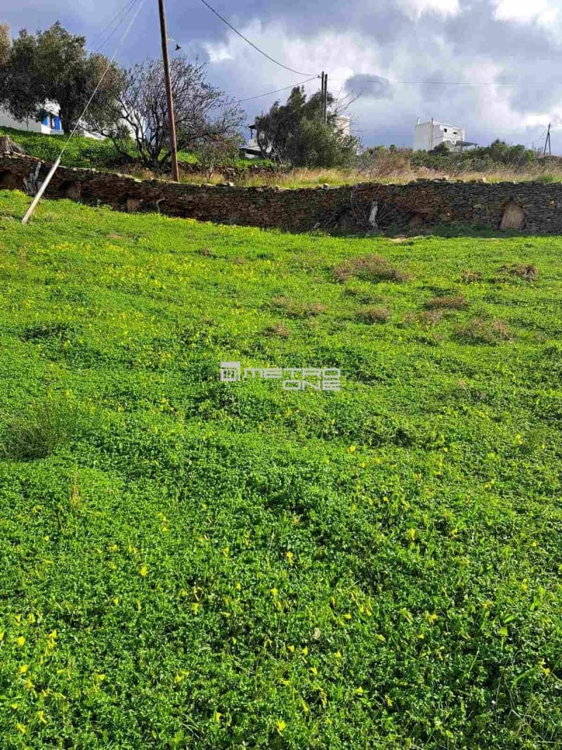 Parcel in Ano Gavrio, Andros — Photo 24 of 25