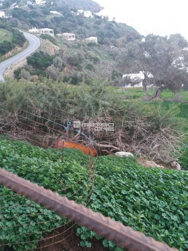 Parcel in Mpatsi, Andros — Photo 12 of 14