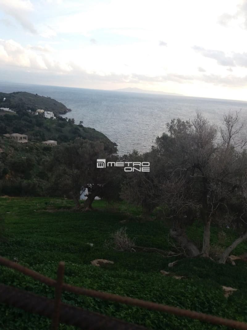 Parcel in Mpatsi, Andros — Photo 4 of 14