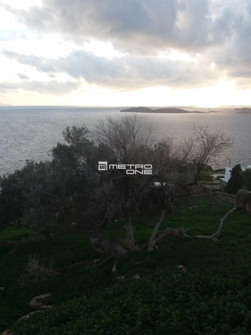 Parcel in Mpatsi, Andros — Photo 13 of 14