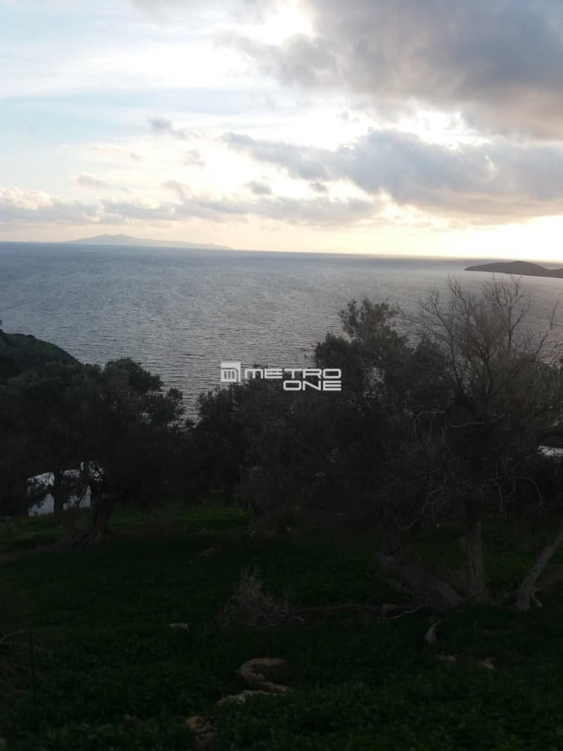 Parcel in Mpatsi, Andros — Photo 14 of 14