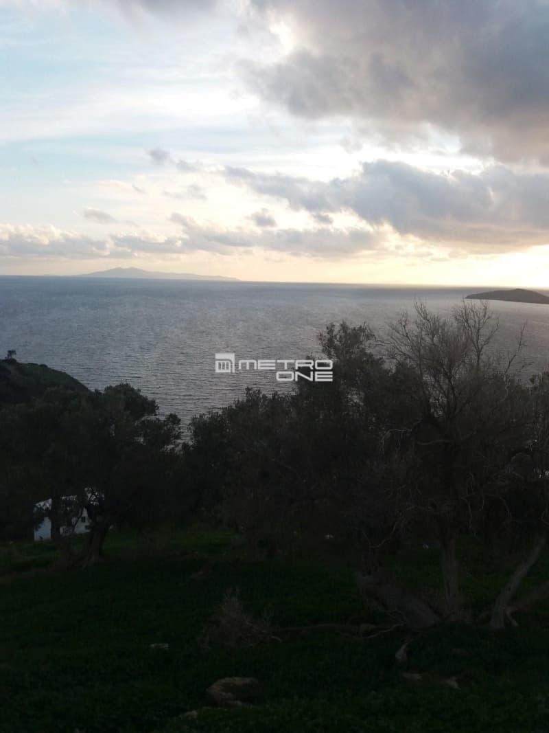 Parcel in Mpatsi, Andros — Photo 6 of 14