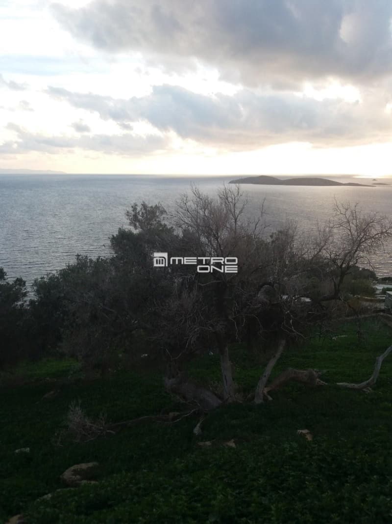 Parcel in Mpatsi, Andros — Photo 5 of 14