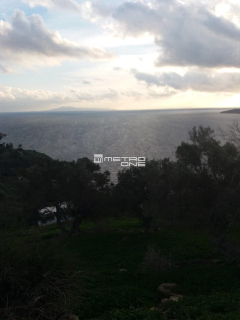Parcel in Mpatsi, Andros — Photo 3 of 14