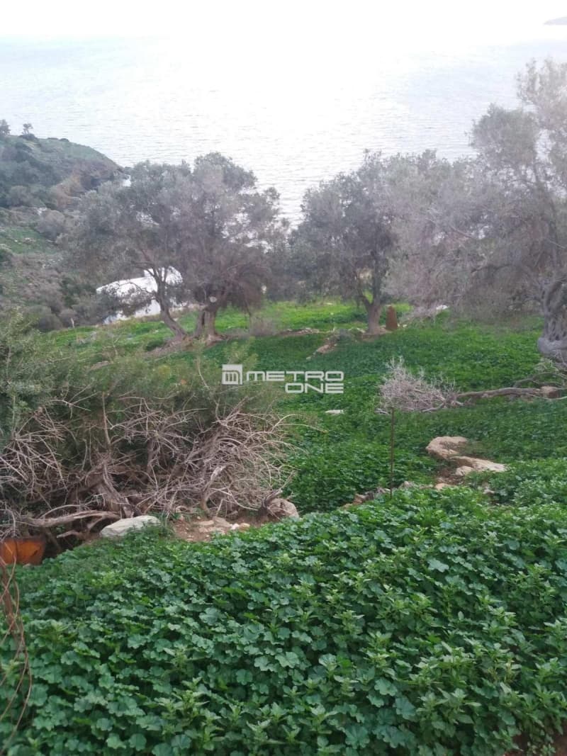 Parcel in Mpatsi, Andros — Photo 8 of 14