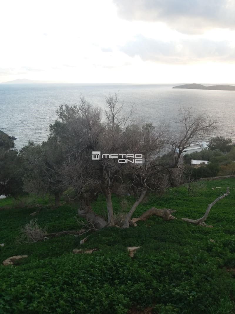 Parcel in Mpatsi, Andros — Photo 11 of 14