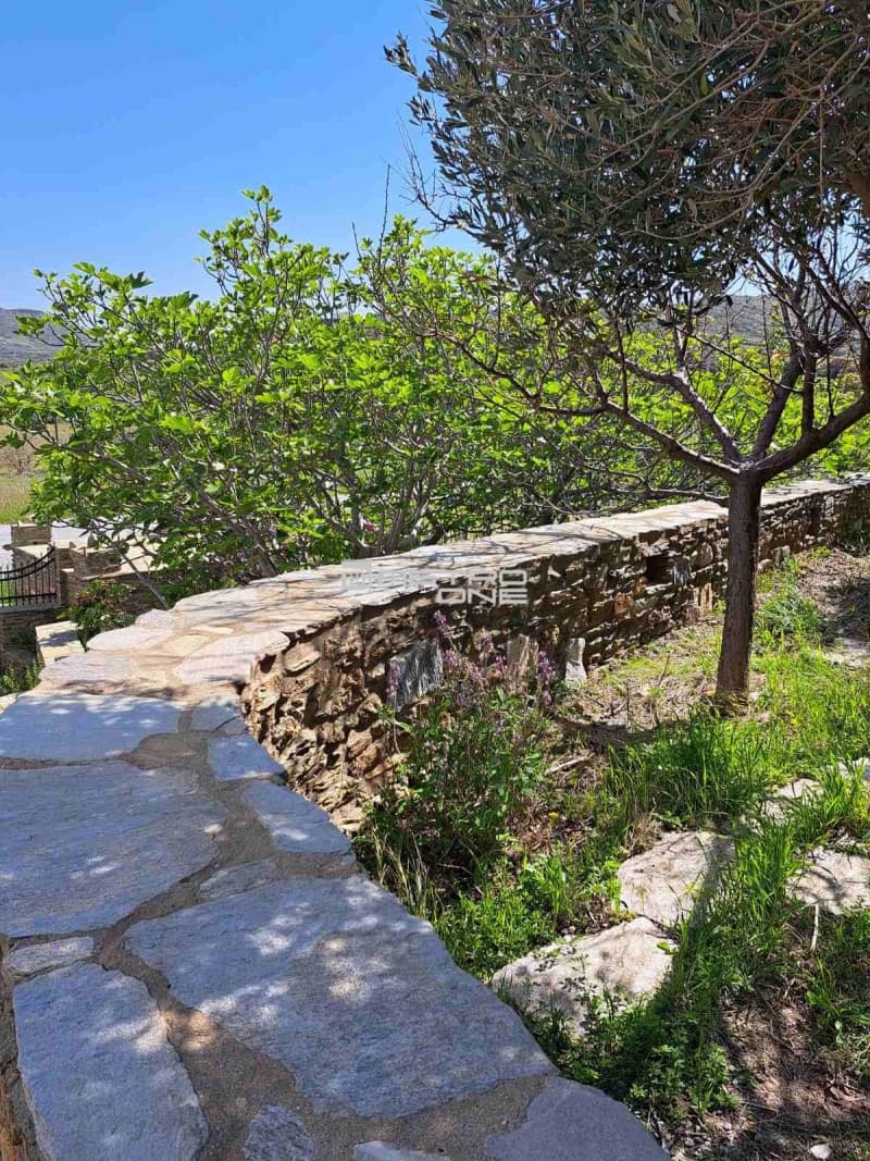 Parcel in Chora, Andros — Photo 16 of 25