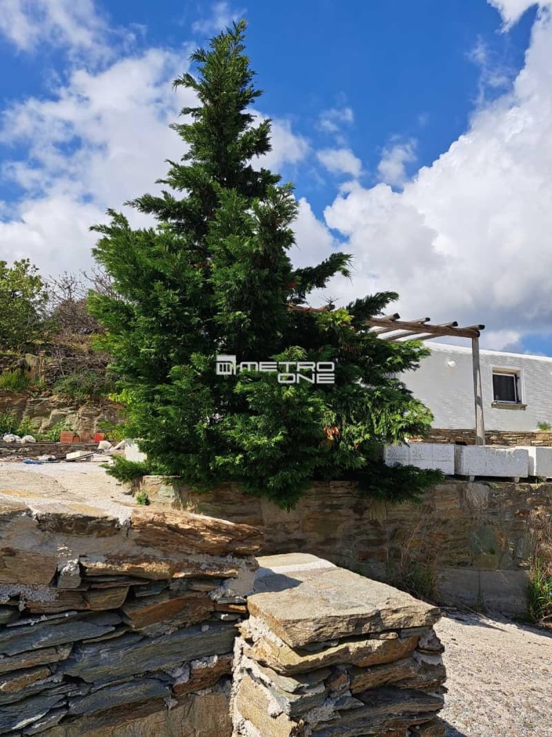 Parcel in Chora, Andros — Photo 21 of 25