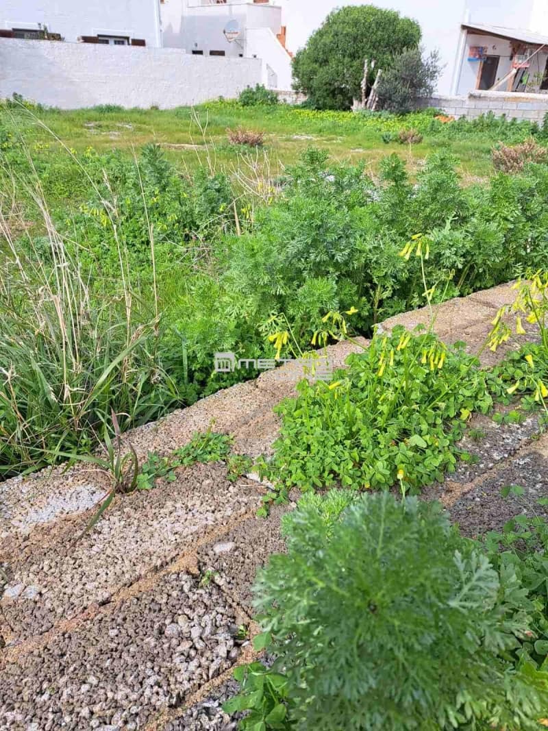 Building Plot in Chora, Andros — Photo 3 of 12