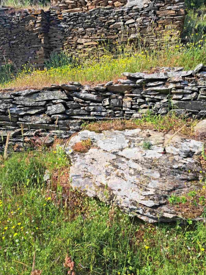 Αγροτεμάχιο στην Χώρα, Άνδρος — Φωτογραφία 11 από 17