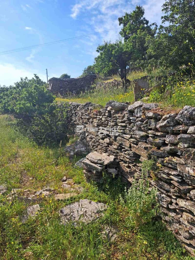Αγροτεμάχιο στην Χώρα, Άνδρος — Φωτογραφία 13 από 17