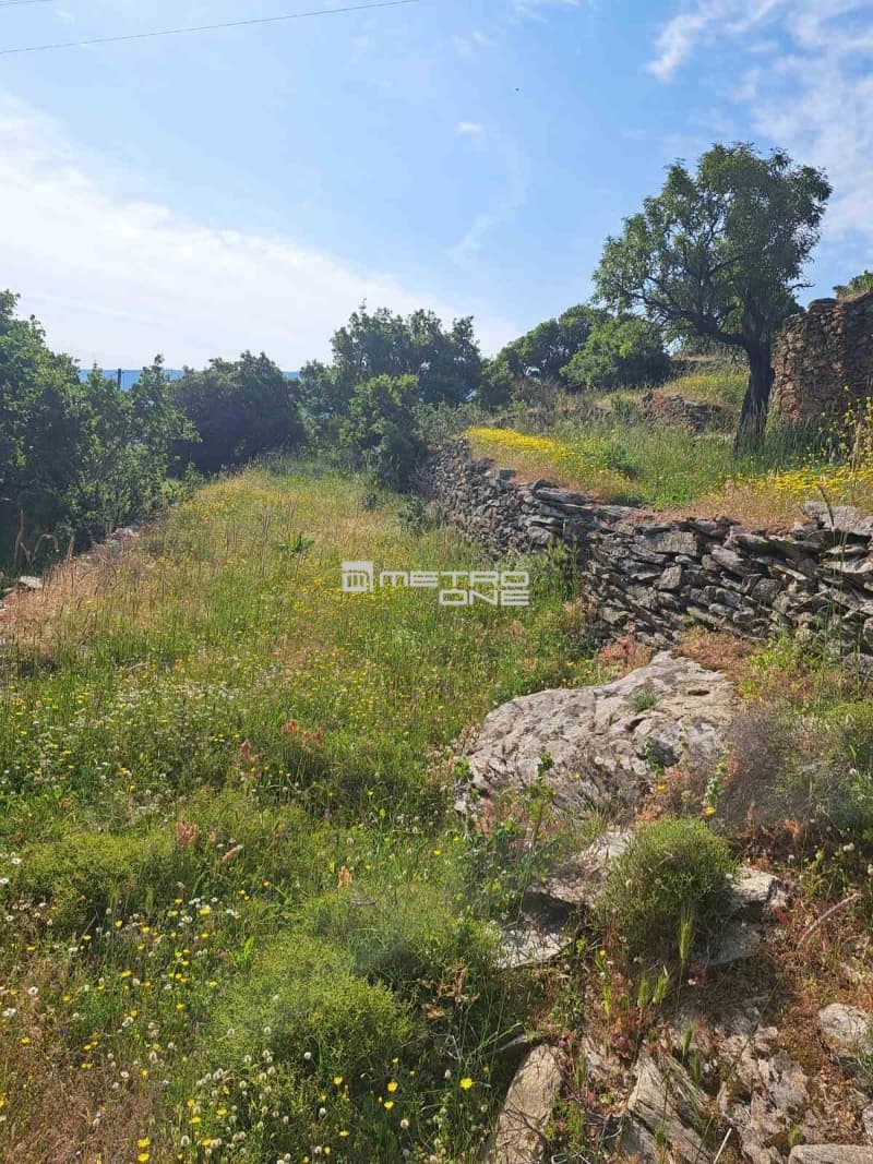 Αγροτεμάχιο στην Χώρα, Άνδρος — Φωτογραφία 16 από 17