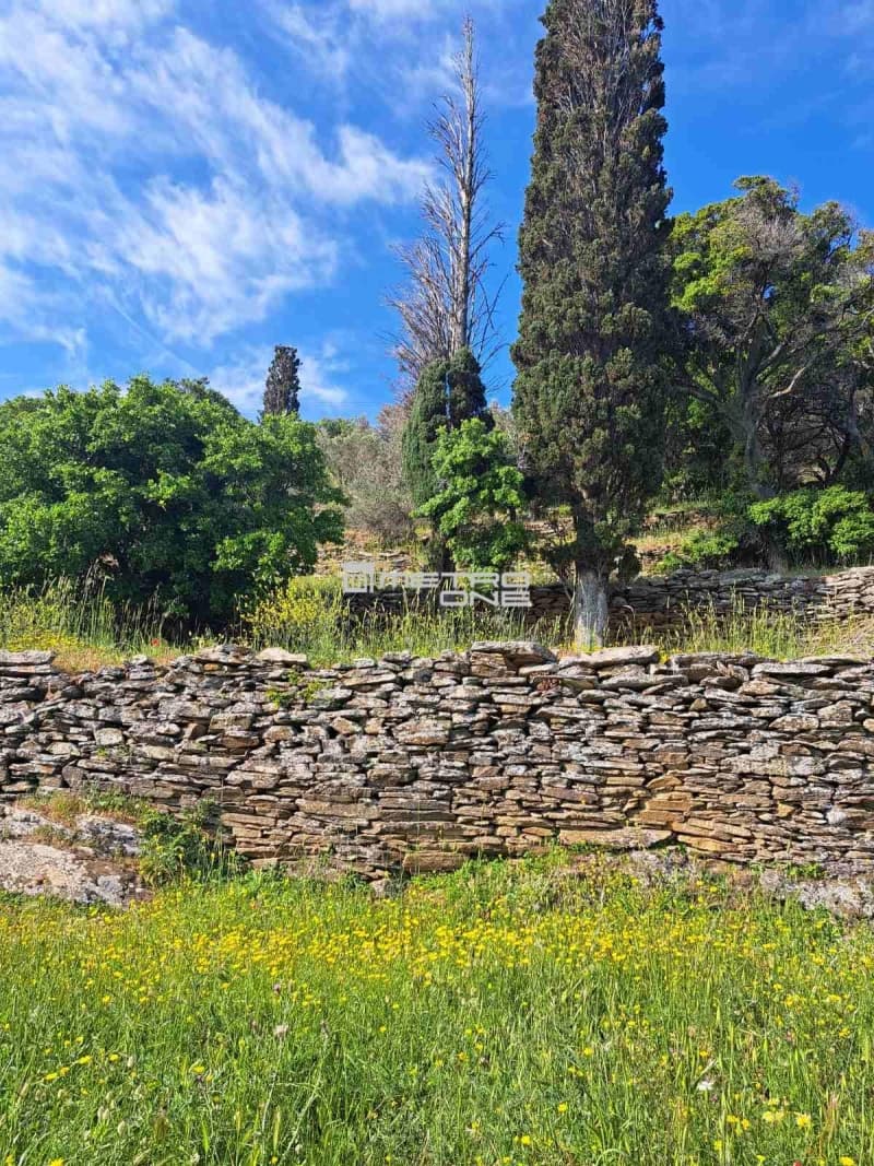 Αγροτεμάχιο στην Χώρα, Άνδρος — Φωτογραφία 3 από 17