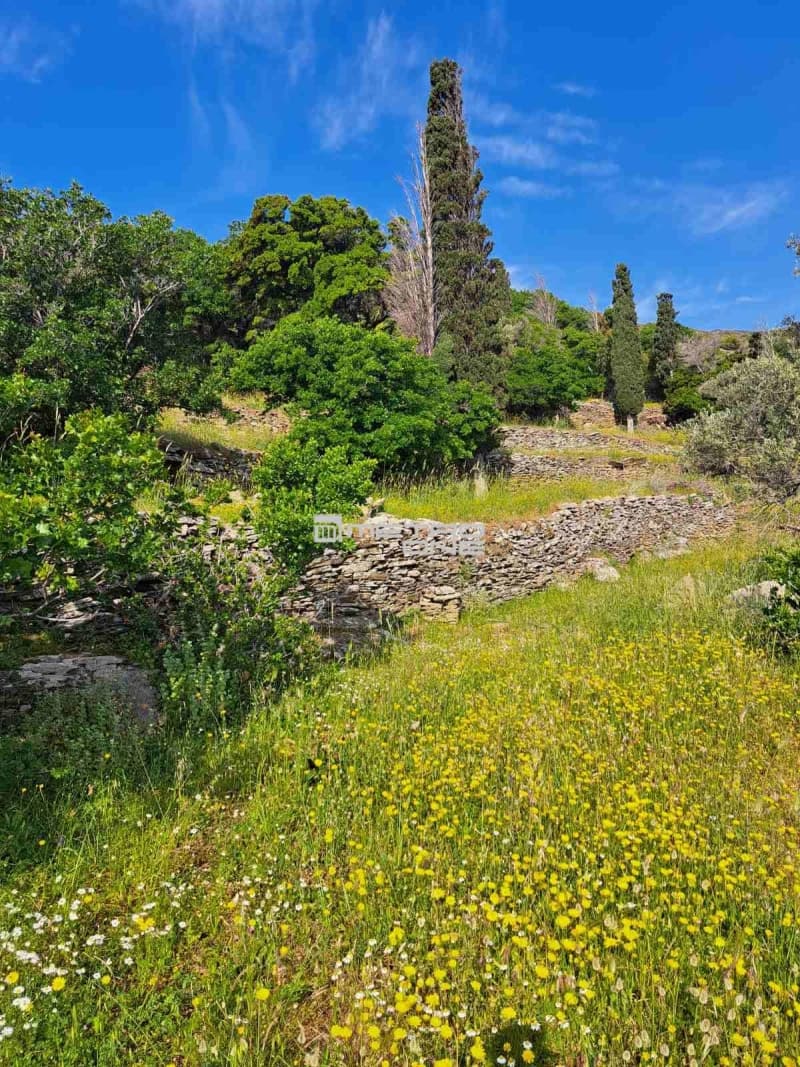 Αγροτεμάχιο στην Χώρα, Άνδρος — Φωτογραφία 5 από 17