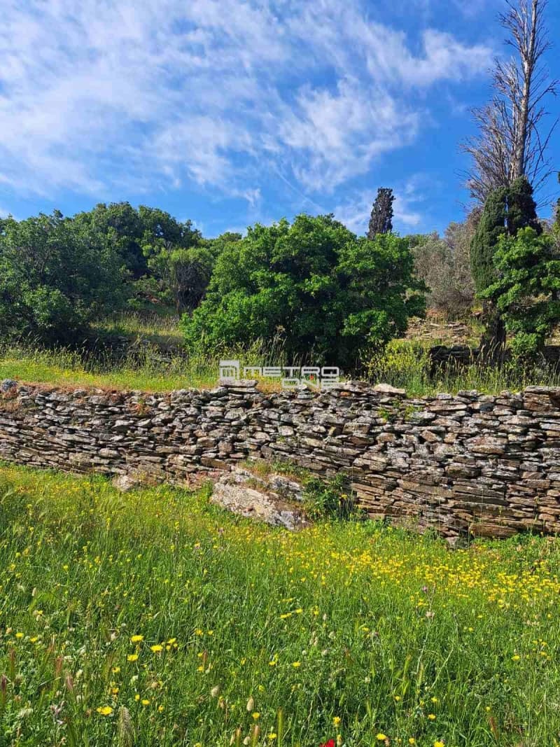 Αγροτεμάχιο στην Χώρα, Άνδρος — Φωτογραφία 6 από 17