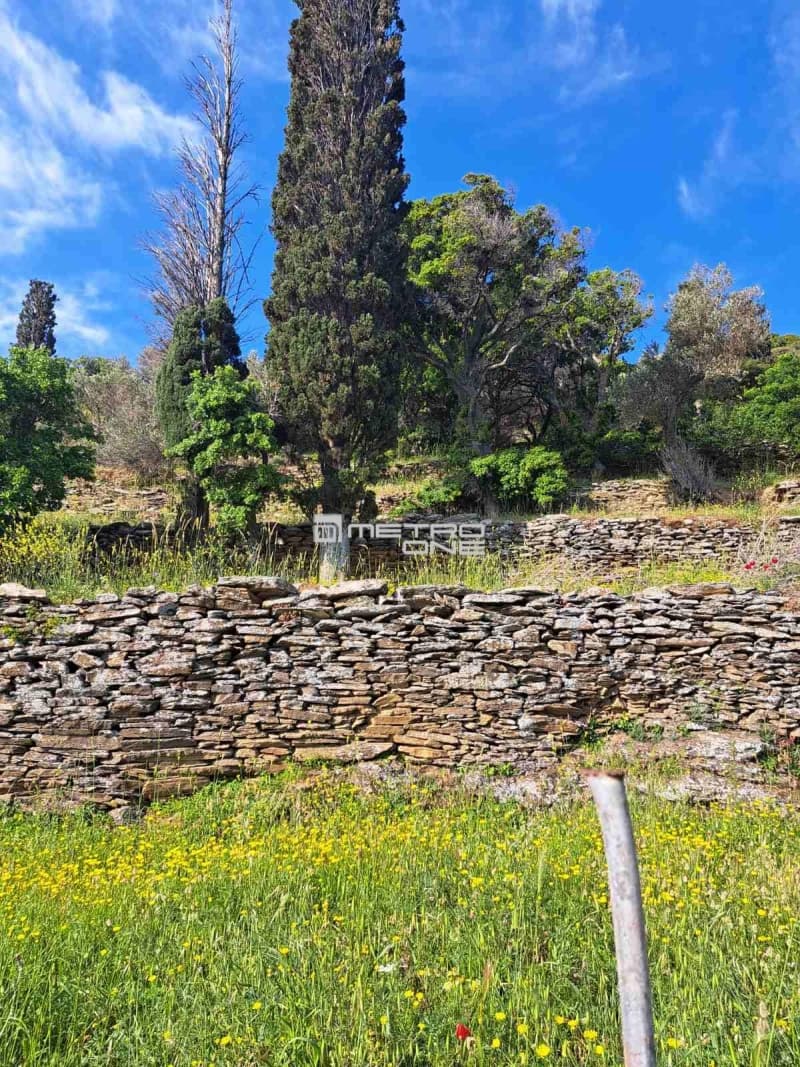 Αγροτεμάχιο στην Χώρα, Άνδρος — Φωτογραφία 8 από 17
