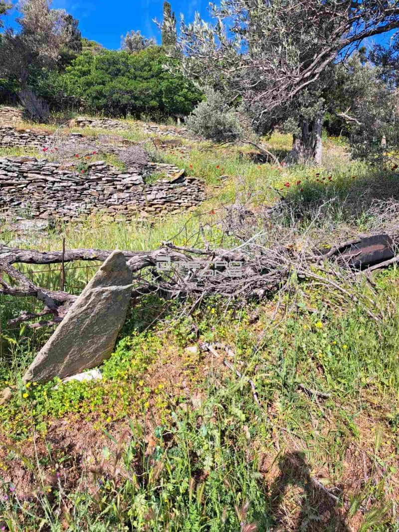 Αγροτεμάχιο στην Χώρα, Άνδρος — Φωτογραφία 10 από 17