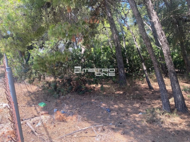 Building Plot in Nireas, Rafina — Photo 1 of 4