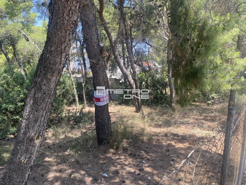 Building Plot in Nireas, Rafina — Photo 3 of 4