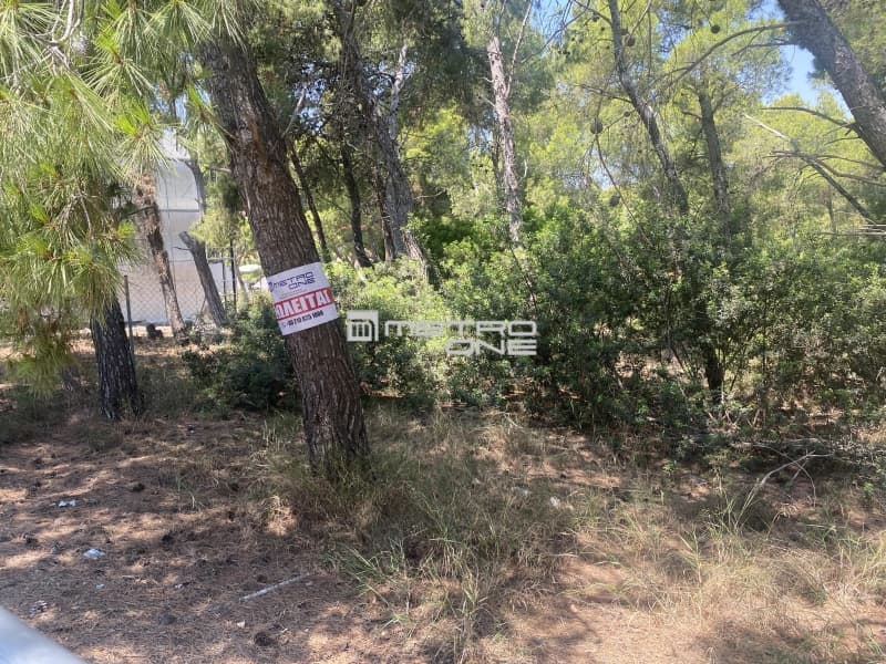 Building Plot in Nireas, Rafina — Photo 4 of 4