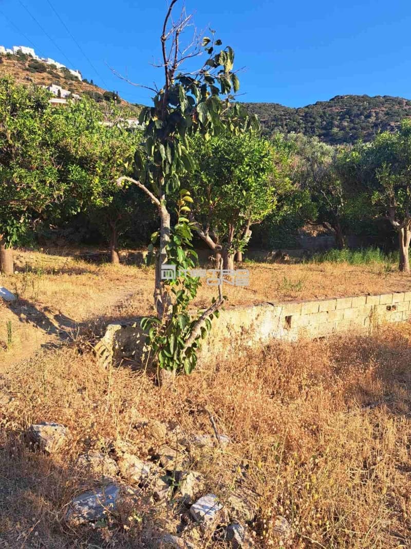 Μονοκατοικία στην Χώρα, Άνδρος — Φωτογραφία 18 από 28