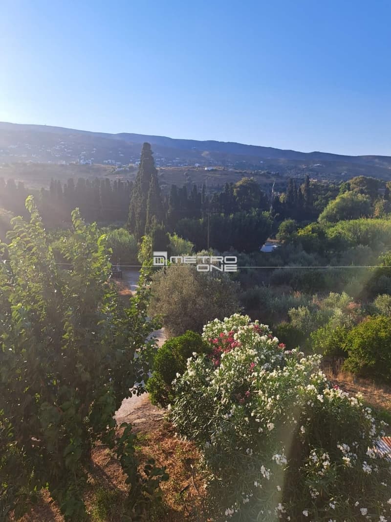 Μονοκατοικία στην Χώρα, Άνδρος — Φωτογραφία 19 από 28