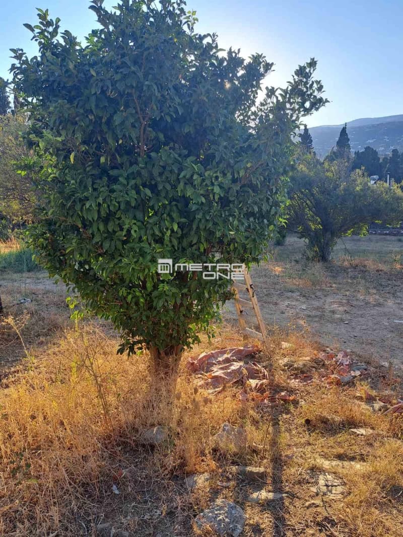 Μονοκατοικία στην Χώρα, Άνδρος — Φωτογραφία 15 από 28
