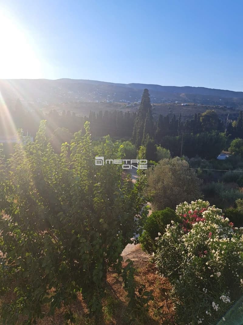 Μονοκατοικία στην Χώρα, Άνδρος — Φωτογραφία 12 από 28
