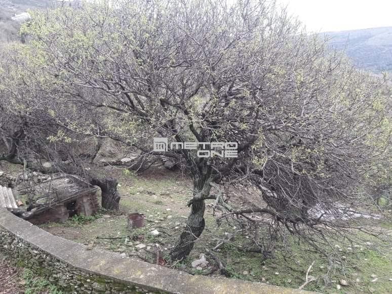 Μονοκατοικία στην Μπατσί, Άνδρος — Φωτογραφία 2 από 2