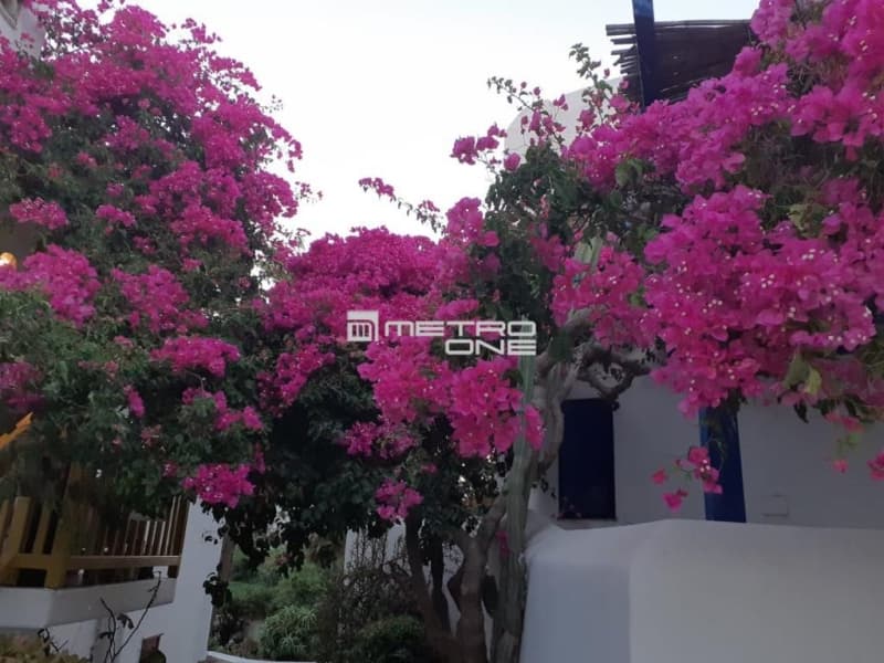 Μονοκατοικία στην Άγιος Ιωάννης Διακόφτης, Μύκονος — Φωτογραφία 19 από 30