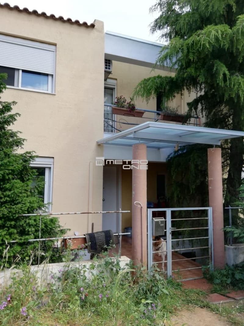House in Krioneri, Krioneri — Photo 7 of 9