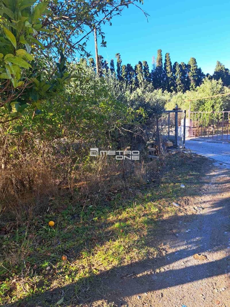 Parcel in Chora, Andros — Photo 4 of 16