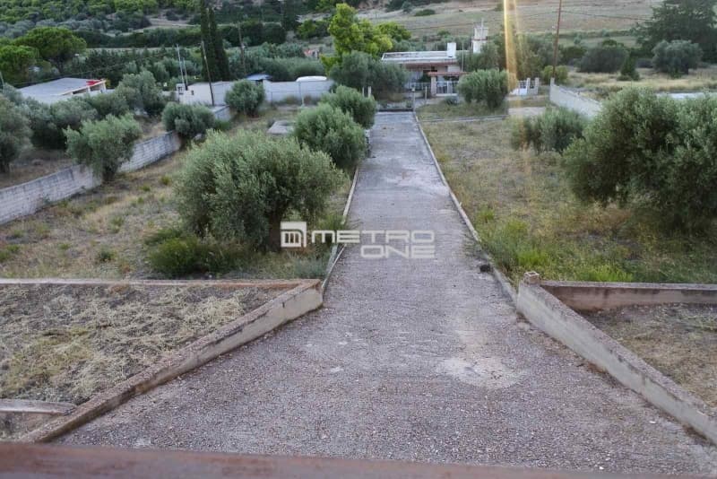 House in Center, Koropi — Photo 8 of 29