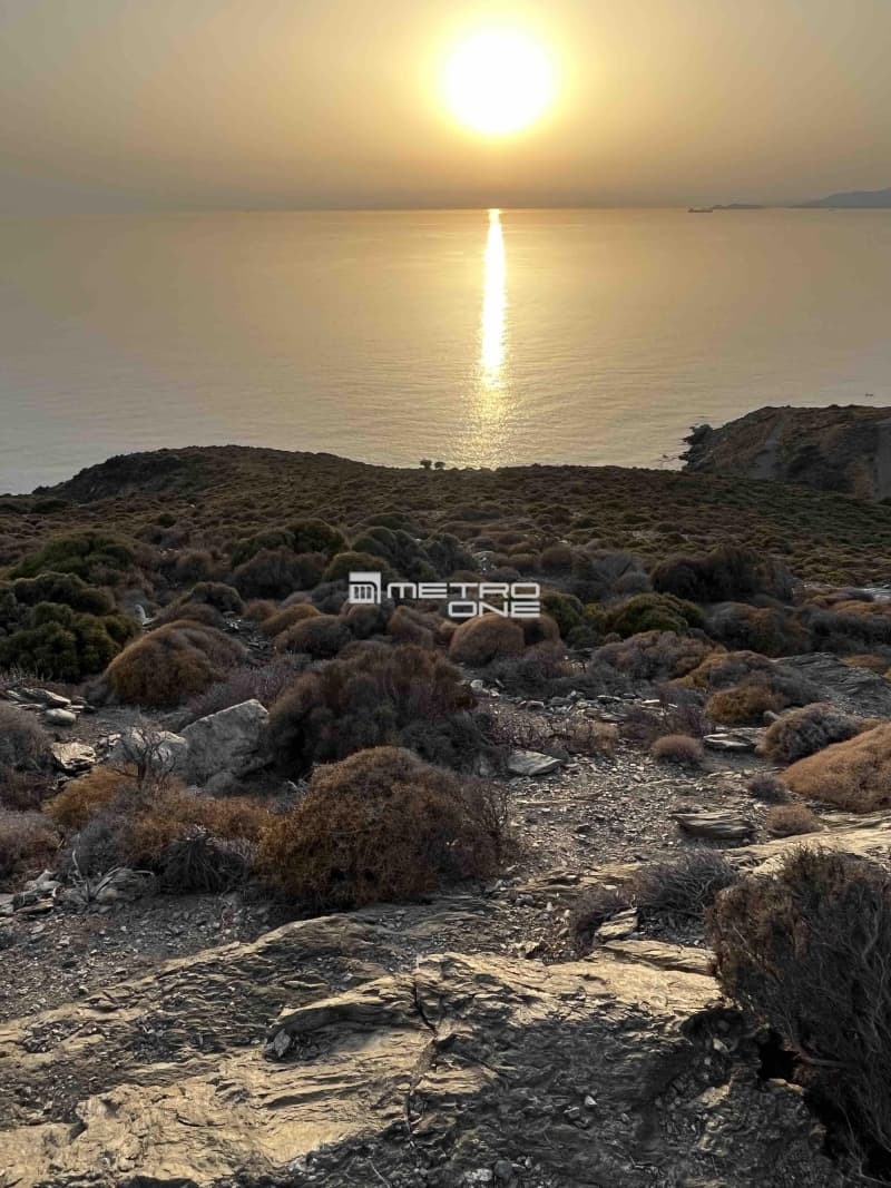 Parcel in Kato Fellos, Andros — Photo 5 of 5