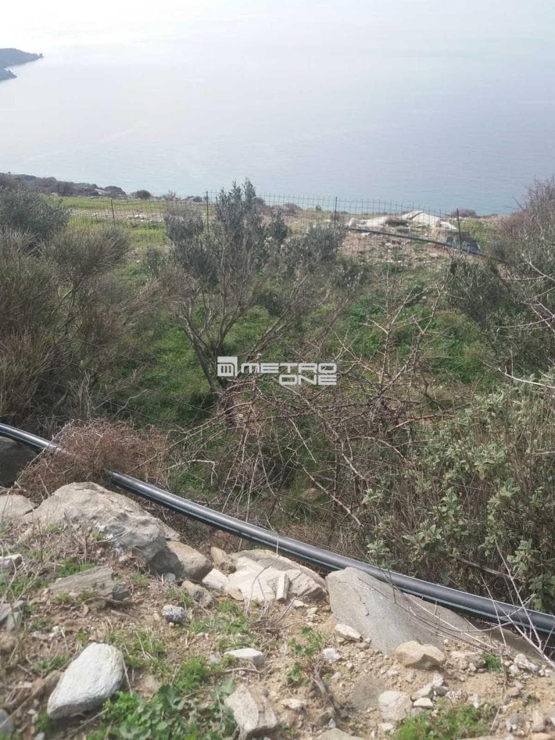 Parcel in Ano Aprovato, Andros — Photo 14 of 30