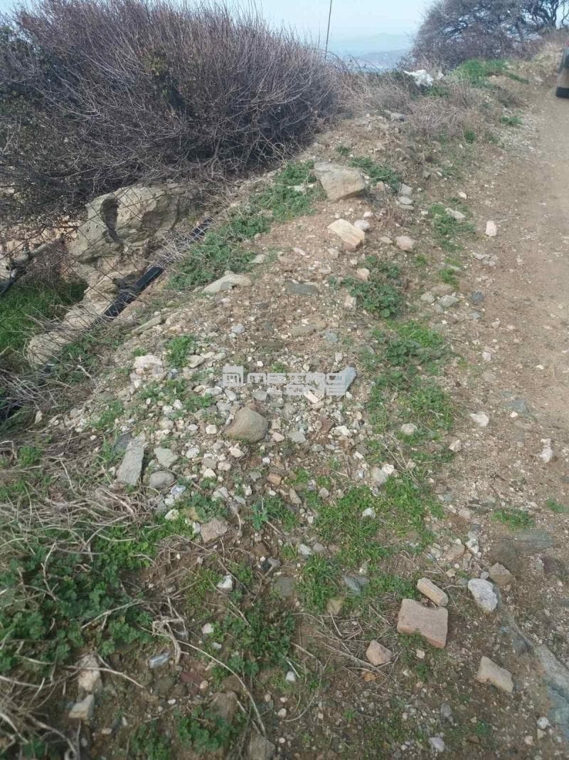 Parcel in Ano Aprovato, Andros — Photo 16 of 30