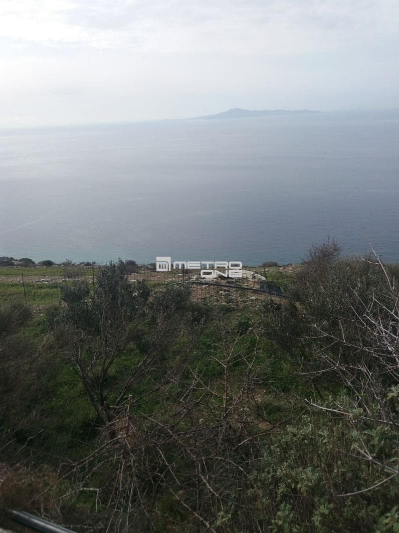 Parcel in Ano Aprovato, Andros — Photo 23 of 30