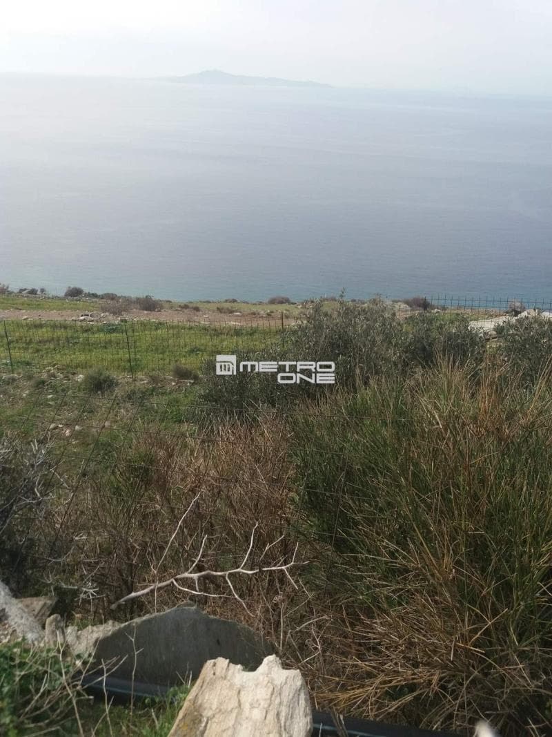 Parcel in Ano Aprovato, Andros — Photo 24 of 30