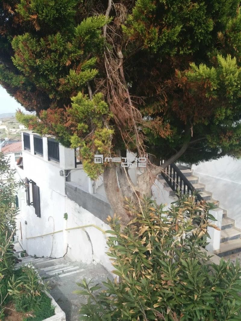 Μονοκατοικία στην Μπατσί, Άνδρος — Φωτογραφία 3 από 3