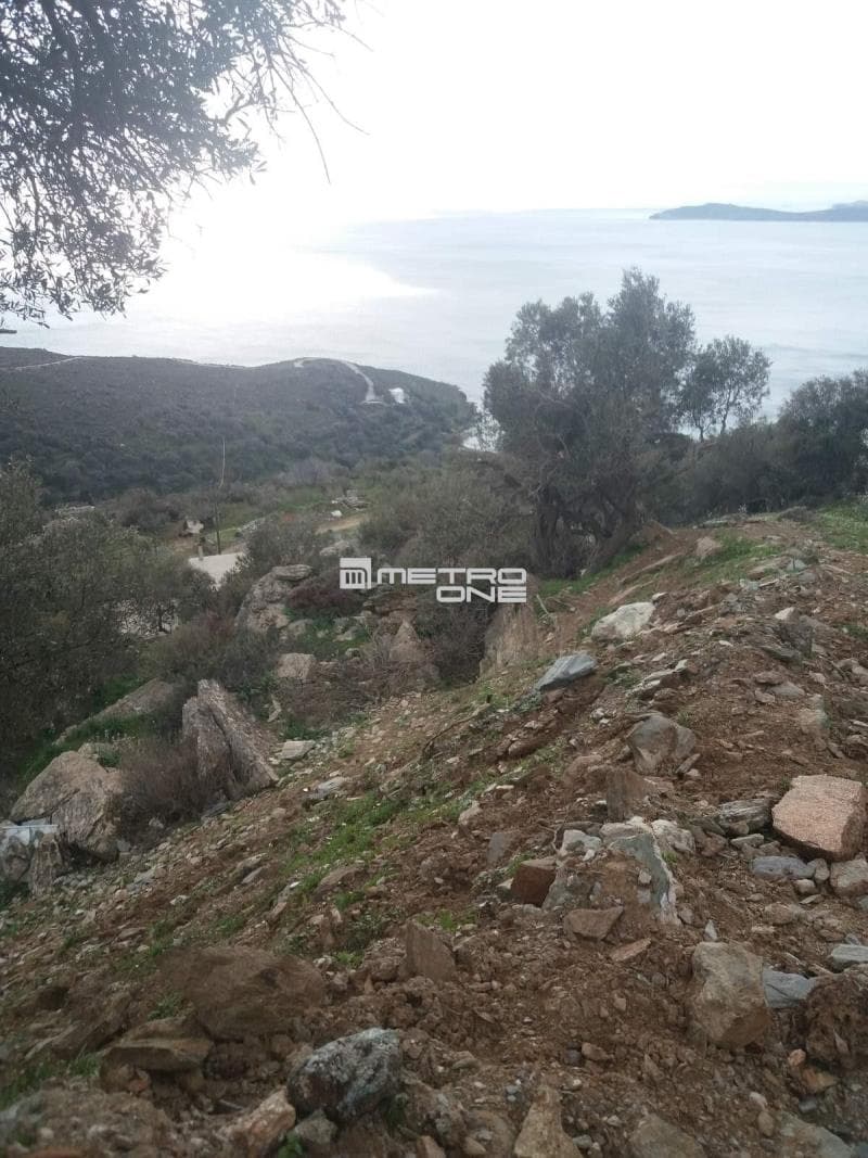 Parcel in Ano Aprovato, Andros — Photo 10 of 20