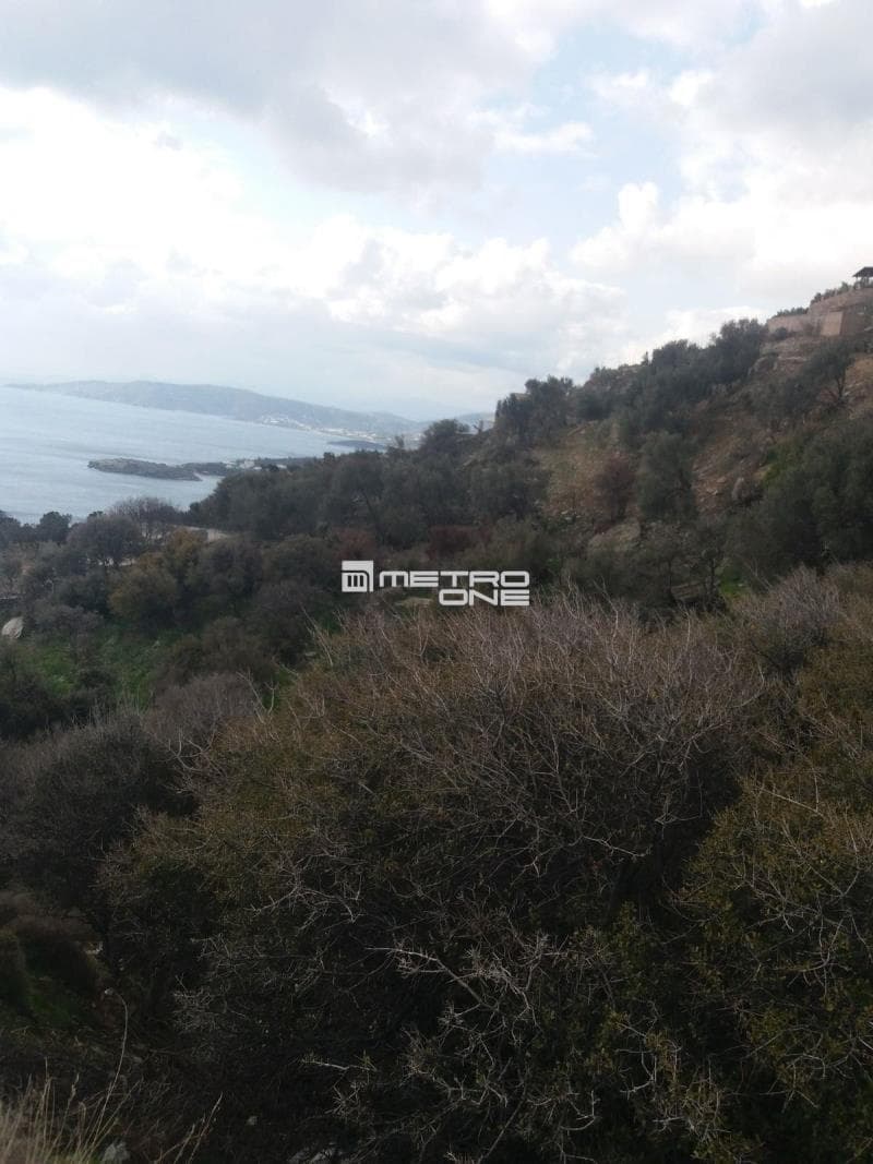 Parcel in Ano Aprovato, Andros — Photo 11 of 20